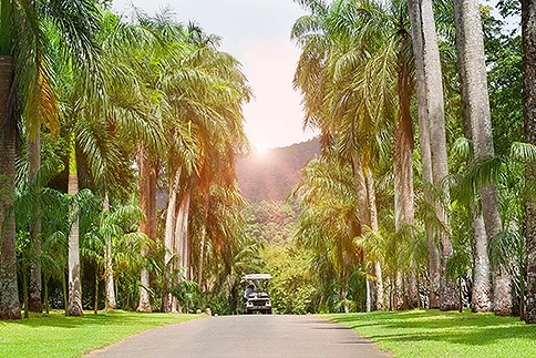 Peradeniya Botanical Garden
